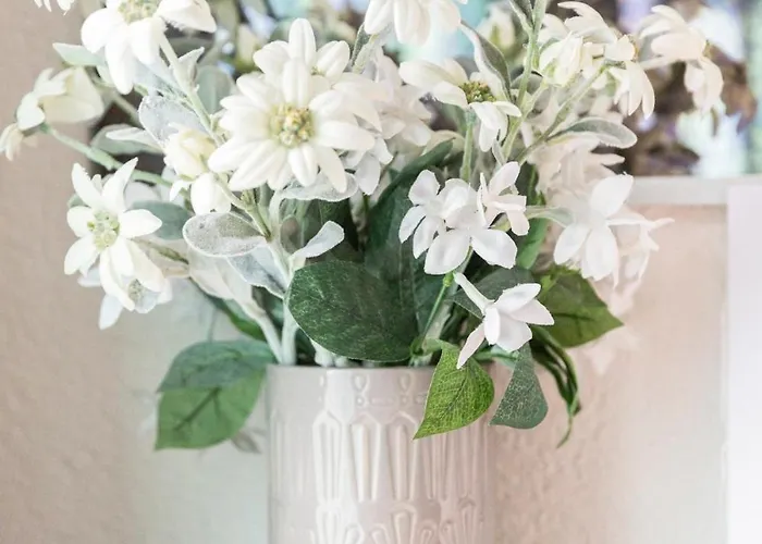 Séjour chez l'habitant Felix's